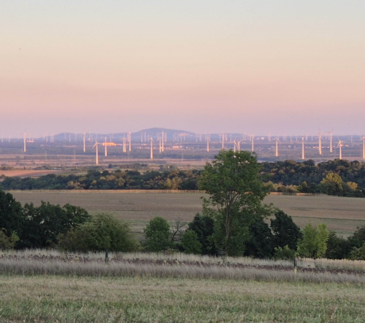 Windpark Pillichsdorf