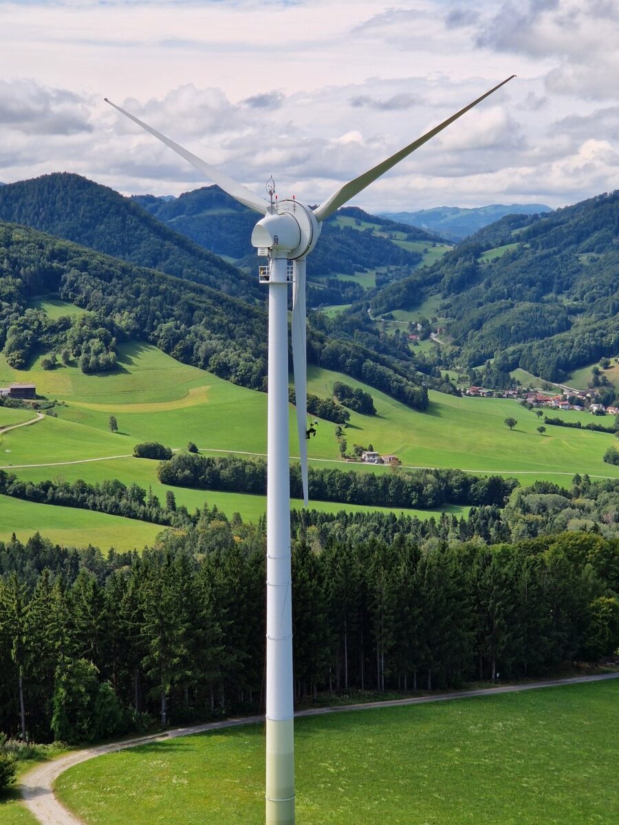 Blattkontrolle an Mona (WEA 1).1 AST Eschenau