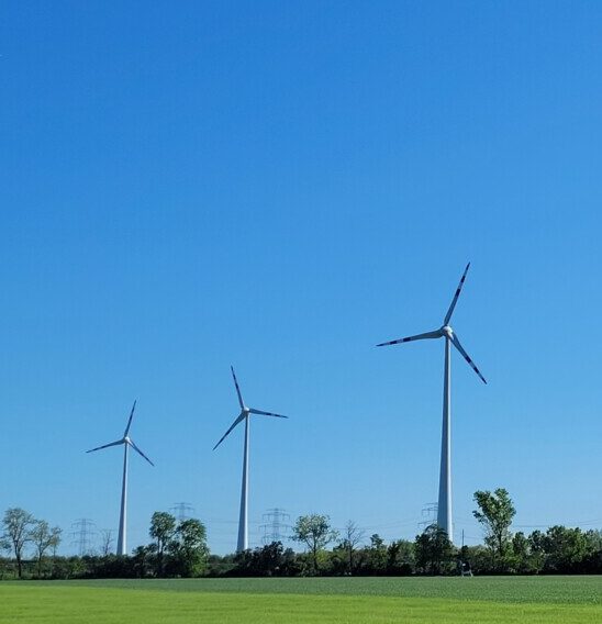 Windpark Weinviertel Süd (Mani Schamböck 2026)