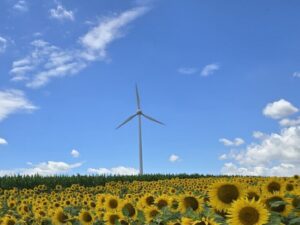 Breite Zustimmung für erneuerbare Energien
